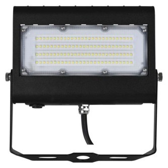 LED reflektor PROFI PLUS černý, 50W neutrální bílá
