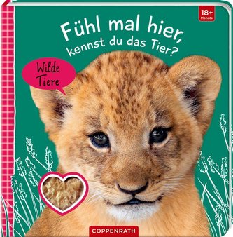 Fühl mal hier, kennst du das Tier? Wilde Tiere