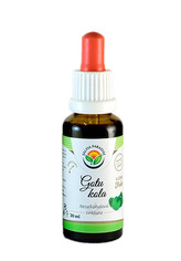 Salvia Paradise Gotu kola - Pupečník AF tinktura 30 ml