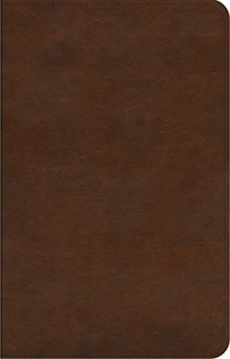 ESV Concise Study Bible (TM)