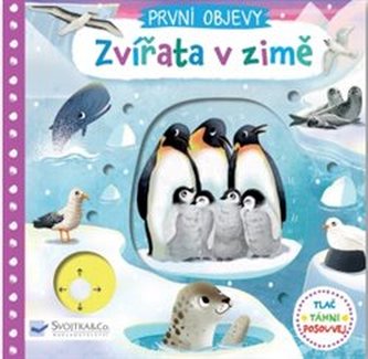 Zvířata v zimě - První objevy