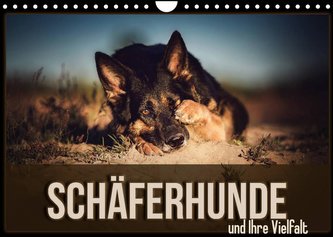 Schäferhunde und Ihre Vielfalt (Wandkalender 2022 DIN A4 quer)