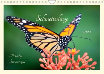 Wunderwelt der Schmetterlinge 2022 Prächtige SommervögelCH-Version  (Wandkalender 2022 DIN A4 quer)