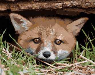 Malování podle čísel - LIŠKA POD STROMEM - 40x50 cm, vypnuté plátno na rám