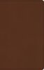 ESV Large Print Value Thinline Bible