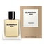 Burberry Hero Toaletní voda 150 ml pro muže
