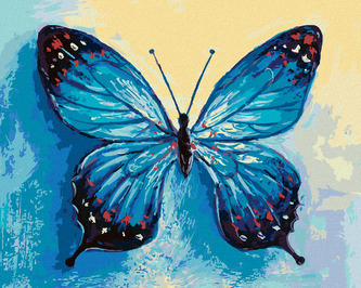 Malování podle čísel - MODRÝ MOTÝL - 80x100 cm, vypnuté plátno na rám