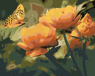 Malování podle čísel - MOTÝL A ORANŽOVĚ KVĚTINY - 80x100 cm, bez rámu a bez vypnutí plátna