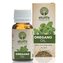 Ekolife Natura - Oil of Origanum - 10ml