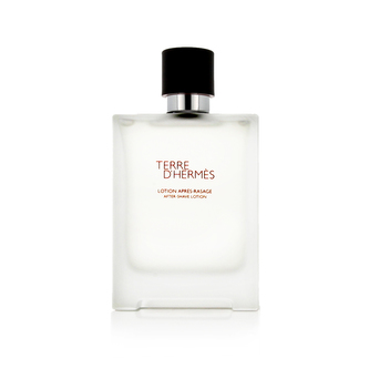 Hermes Terre D'Hermes AS 100 ml M