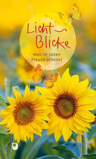 Licht-Blicke