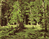 Malování podle čísel - LES (IVAN SHISHKIN) - 40x50 cm, vypnuté plátno na rám