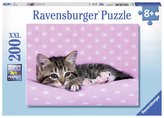 Ravensburger Puzzle - Roztomilé koťátko na růžové dece 200 dílků
