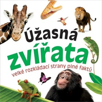 Úžasná zvířata