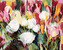 Malování podle čísel - PLNO RŮŽÍ A TULIPÁNŮ - 40x50 cm, bez rámu a bez vypnutí plátna