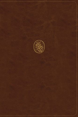 NRSV, The C. S. Lewis Bible, Leathersoft, Brown, Comfort Print