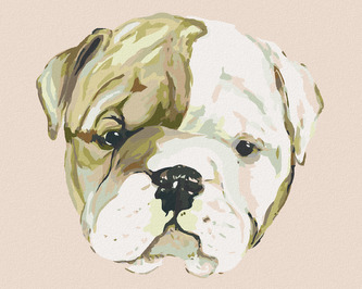 Malování podle čísel - ŠTĚNÁTKO BULLDOGA (HALEY BUSH) - 80x100 cm, bez rámu a bez vypnutí plátna Malování podle čísel - ŠTĚNÁTKO BULLDOGA (HALEY BUSH) - 80x100 cm, bez rámu a bez vypnutí plátna