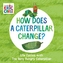 How Does a Caterpillar Change?