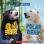 Sun Bear or Polar Bear (Hot and Cold Animals)