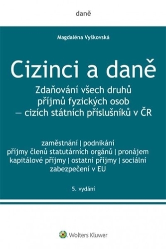 Cizinci a daně
