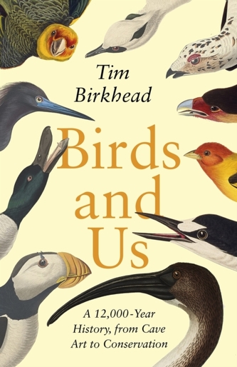 Birds and Us
