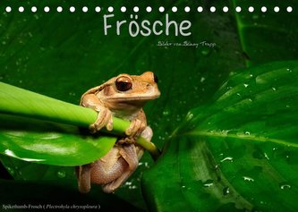 Frösche (Tischkalender 2022 DIN A5 quer)