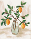 Malování podle čísel - CITRÓNY VE VÁZE 4 (HALEY BUSH) - 80x100 cm, bez rámu a bez vypnutí plátna