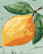Malování podle čísel - CITRÓN II (HALEY BUSH) - 80x100 cm, bez rámu a bez vypnutí plátna