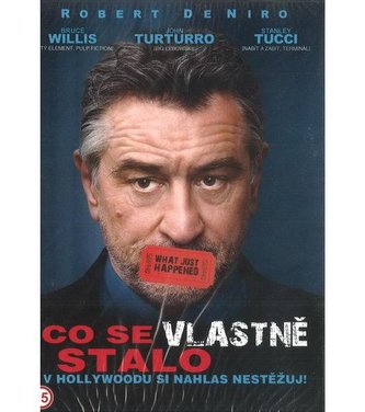 Co se vlastně stalo - DVD
