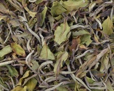 Bílý čaj China Fujian Pai Mu Tan std. 6900 - 100 g