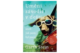 Umění závodit v dešti