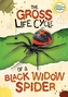 The Gross Life Cycle of a Black Widow Spider