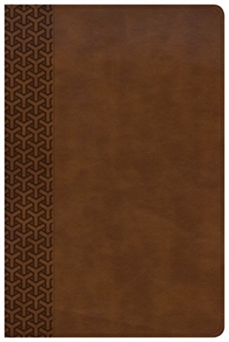 KJV Everyday Study Bible, British Tan LeatherTouch