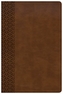 KJV Everyday Study Bible, British Tan LeatherTouch