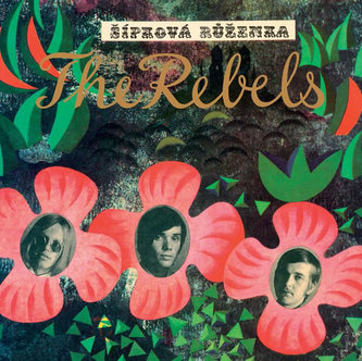Šípková Ruženka - CD