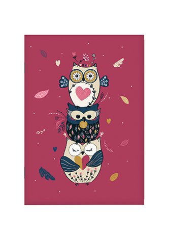 ZÁPISNÍK A6 CARA638L02 SOVY - CHOUETTES KIUB