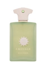 Amouage Meander Parfémovaná voda 100 ml unisex