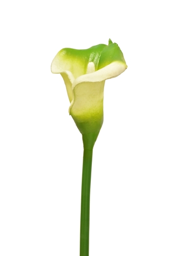 Umělá kala zelená, 63 cm