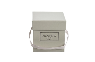 Flower box světle olivový 9x9x9 cm