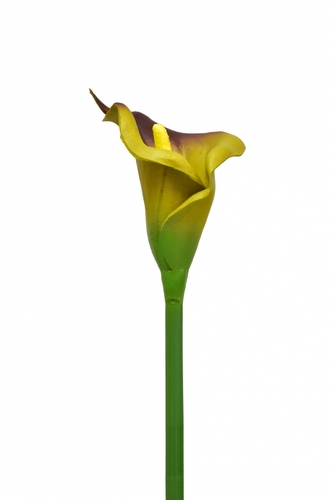 Umělá kala okrová, 63 cm