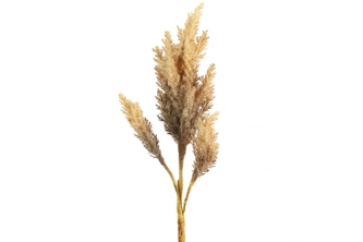 Umělá květina Astilbe světle hnědá 81 cm