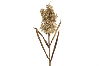 Umělá tráva Panicum miliaceum krém 89 cm