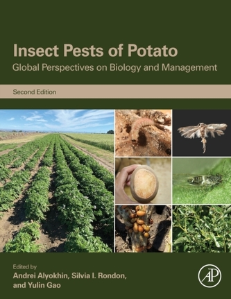 Insect Pests of Potato