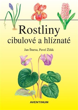 Rostliny cibulové a hlíznaté