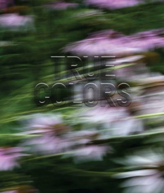 Zora J Murff: True Colors