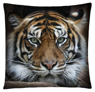 Polštář ANIMAL 35 - TYGR Mybesthome 40x40 cm