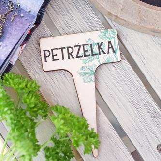 Zápich na bylinky - Petrželka