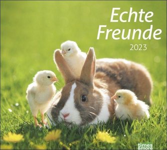 times&more Echte Freunde Bildkalender 2023