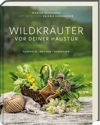 Wildkräuter vor deiner Haustür