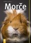 Morče